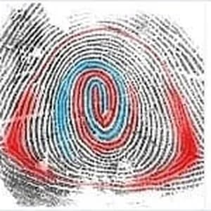 内聚斗形